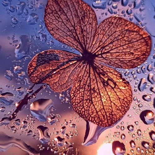 من به تو گیرم بیا از همه سیرم بیا بی تو میمیرم بیا پیشم موندم